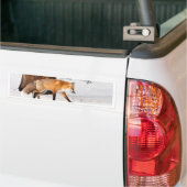 Red Fox Bumpersticker (Op Truck)