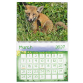 Red Fox Calendar door Angel Cher Kalender (Mar 2027)