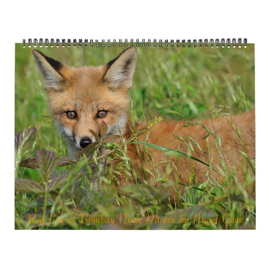 Red Fox Calendar door Angel Cher Kalender (Hoes)