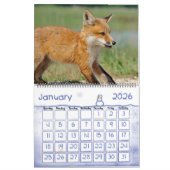 Red Fox Calendar door Angel Cher Kalender (Jan 2026)