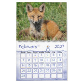 Red Fox Calendar door Angel Cher Kalender (Feb 2027)