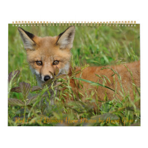 Red Fox Calendar door Angel Cher Kalender