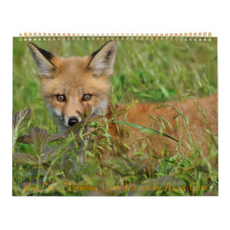 Red Fox Calendar door Angel Cher Kalender
