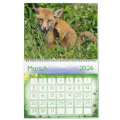 Red Fox Calendar door Angel Cher Kalender (Mar 2026)