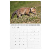 Red Fox Calendar Kalender (Mar 2026)