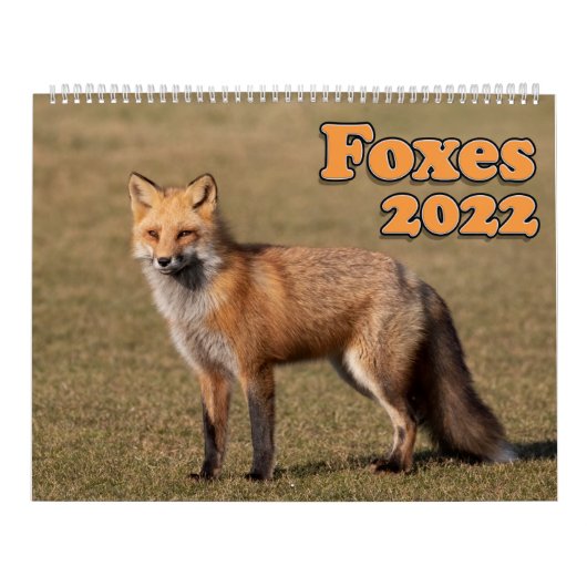 Red Fox Calendar Kalender (Hoes)