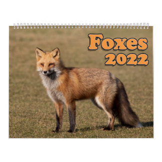 Red Fox Calendar Kalender