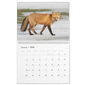 Red Fox Calendar Kalender (Jan 2026)