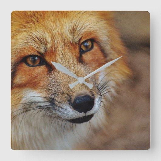 Red Fox Clock Vierkante Klok (Voorkant)