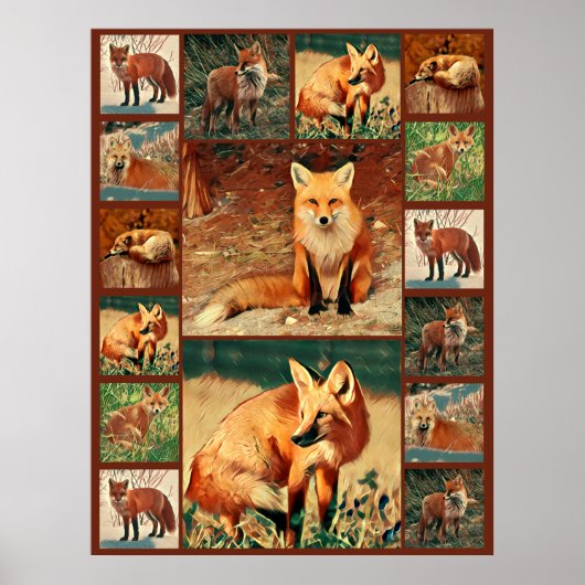 Red Fox Collage Poster (Voorkant)