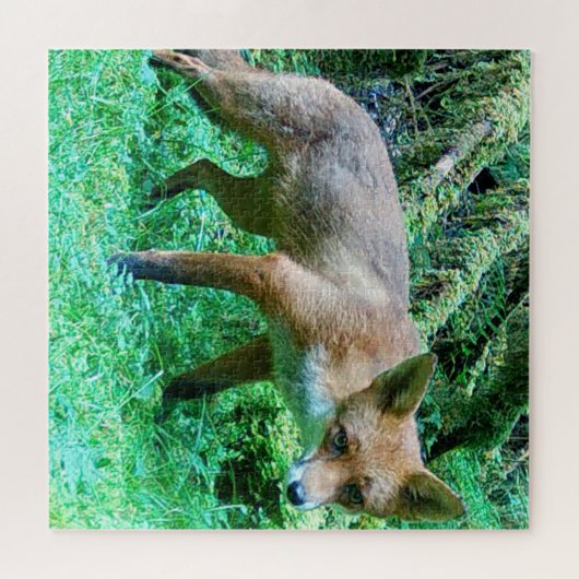 Red Fox Cub Legpuzzel (Horizontaal)