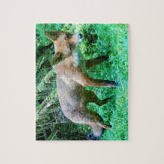 Red Fox Cub Legpuzzel (Verticaal)