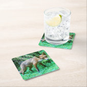 Red Fox Cub Onderzetter (Insitu)