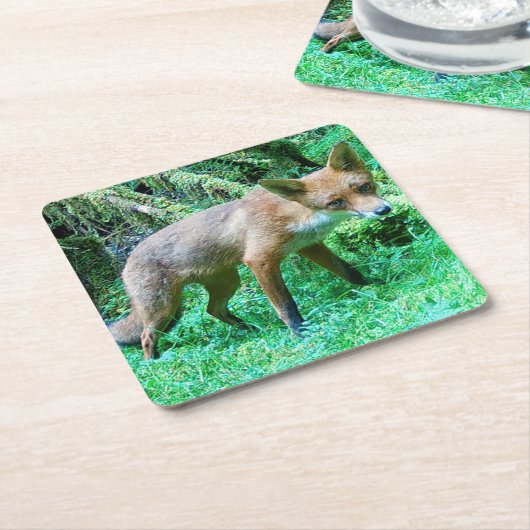 Red Fox Cub Onderzetter (Schuin)