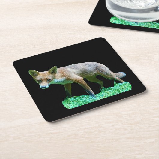 Red Fox Cub Onderzetter (Schuin)