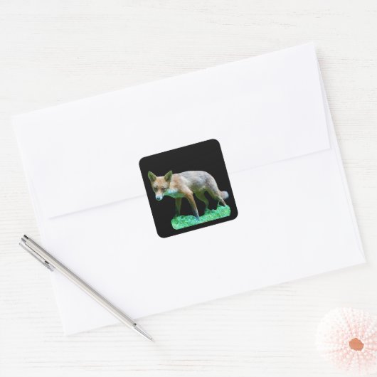 Red Fox Cub Vierkante Sticker (Envelop)