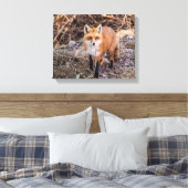 Red Fox dichtbij en persoonlijk Canvas Afdruk (Insitu (Slaapkamer))