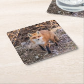 Red Fox dichtbij en persoonlijk Kartonnen Onderzetters (Schuin)
