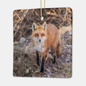 Red Fox dichtbij en persoonlijk Keramisch Ornament (Links)