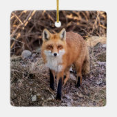 Red Fox dichtbij en persoonlijk Keramisch Ornament (Achterkant)