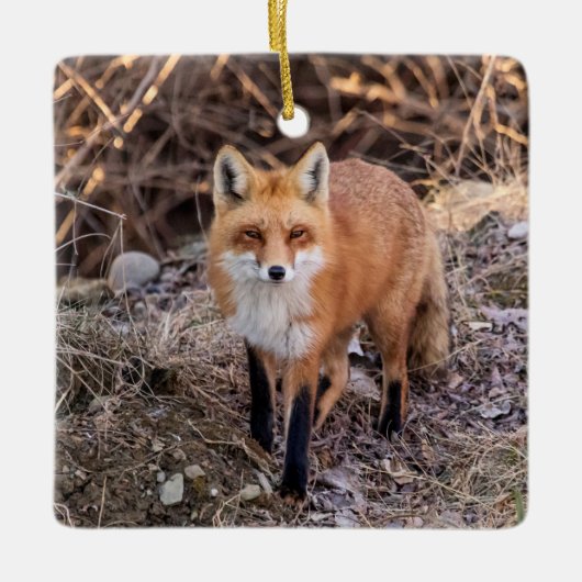 Red Fox dichtbij en persoonlijk Keramisch Ornament (Voorkant)