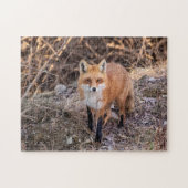 Red Fox dichtbij en persoonlijk Legpuzzel (Horizontaal)