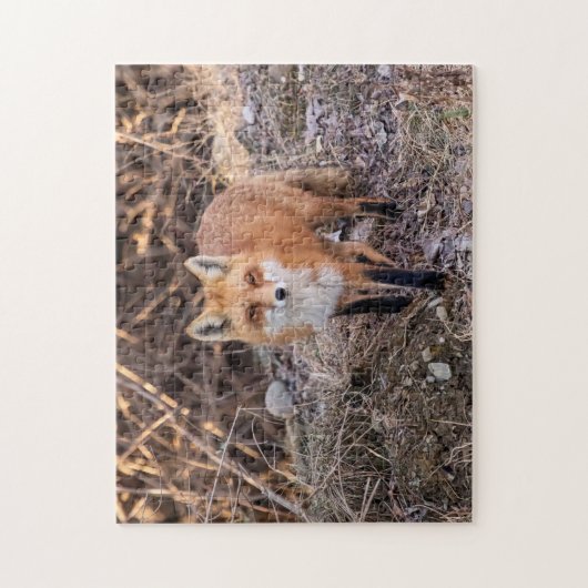 Red Fox dichtbij en persoonlijk Legpuzzel (Verticaal)