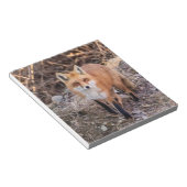 Red Fox dichtbij en persoonlijk Notitieblok (Schuin)
