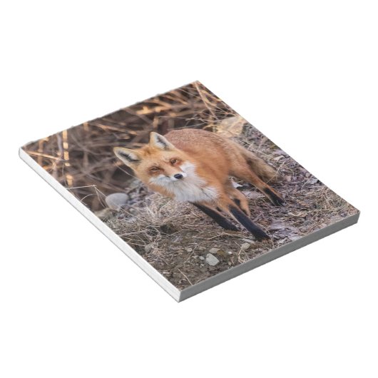 Red Fox dichtbij en persoonlijk Notitieblok (Schuin)