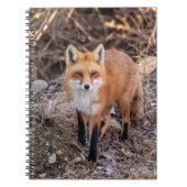 Red Fox dichtbij en persoonlijk Notitieboek (Voorkant)