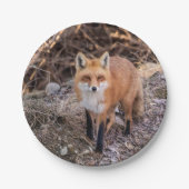 Red Fox dichtbij en persoonlijk Papieren Bordje (Voorkant)