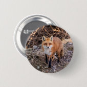 Red Fox dichtbij en persoonlijk Ronde Button 5,7 Cm (Voorkant /achterkant)