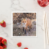 Red Fox dichtbij en persoonlijk Servetten (Insitu)