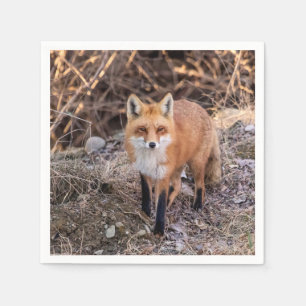 Red Fox dichtbij en persoonlijk Servetten