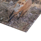Red Fox dichtbij en persoonlijk Snijplank (Hoek)