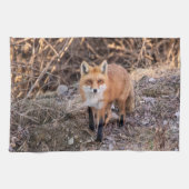 Red Fox dichtbij en persoonlijk Theedoek (Horizontaal)