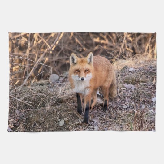 Red Fox dichtbij en persoonlijk Theedoek (Horizontaal)