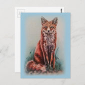 Red Fox Drawing Animal Art Pencil Schets Briefkaart (Voorkant / Achterkant)