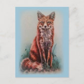 Red Fox Drawing Animal Art Pencil Schets Briefkaart (Voorkant)