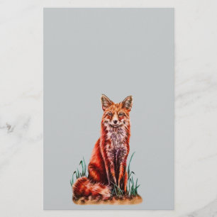 Red Fox Drawing Animal Kunstpotlood Schets Foxy