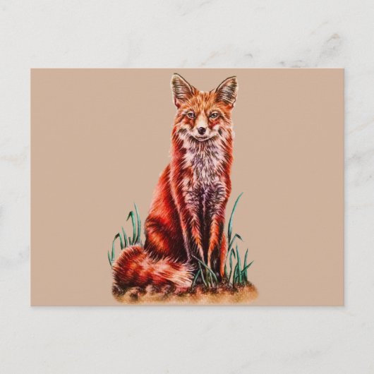 Red Fox Drawing Animal Kunstpotlood Schets Foxy Briefkaart (Voorkant)