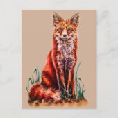 Red Fox Drawing Animal Kunstpotlood Schets Foxy Briefkaart (Voorkant)