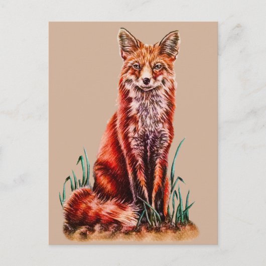 Red Fox Drawing Animal Kunstpotlood Schets Foxy Briefkaart (Voorkant)