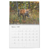 Red Fox entellers Kalender (Feb 2027)