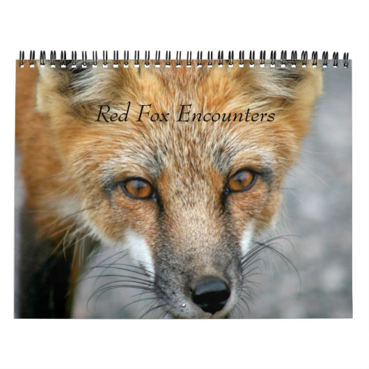 Red Fox entellers Kalender (Hoes)