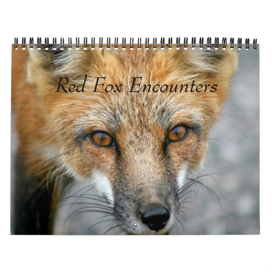 Red Fox entellers Kalender (Hoes)