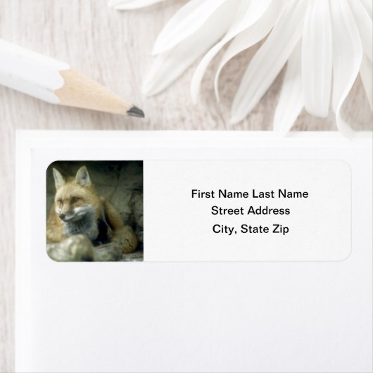 Red Fox Etiket (Insitu)