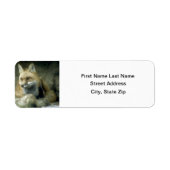 Red Fox Etiket (Voorkant)