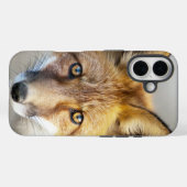 Red Fox Face, close-up Case-Mate iPhone Case (Achterkant (horizontaal))