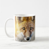 Red Fox Face, close-up Mok (Links)